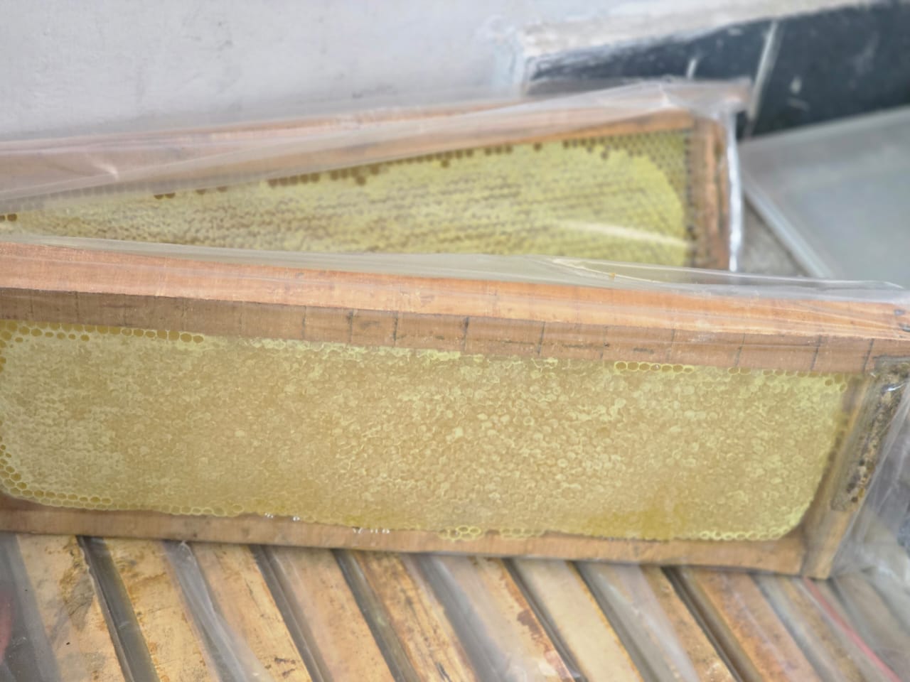 موم خالص و طبیعی با قاب و شان خودبافت زنبور عسل کیلویی 800000