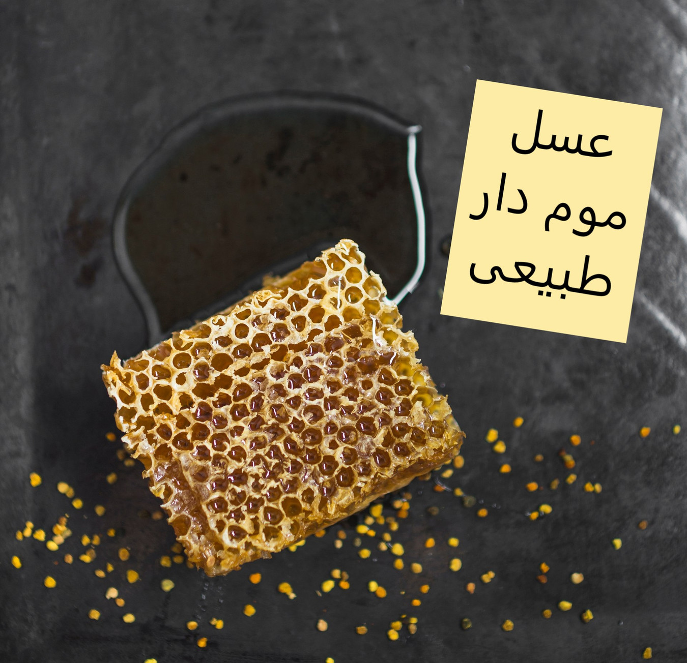 خرید آنلاین عسل با موم خودبافت زنبور عسل