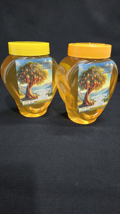 عسل جنگلی 2 کیلویی بدون موم