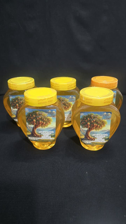 عسل جنگلی 5 کیلویی بدون موم