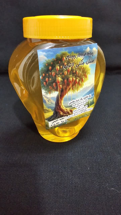 عسل جنگلی 1 کیلویی بدون موم