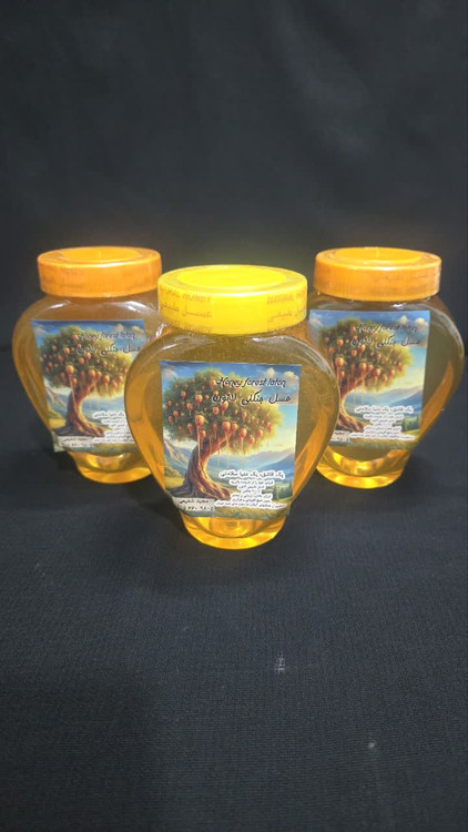 عسل جنگلی 3 کیلویی بدون موم