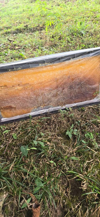 3/5 کیلویی موم سیاه خود بافت زنبور عسل