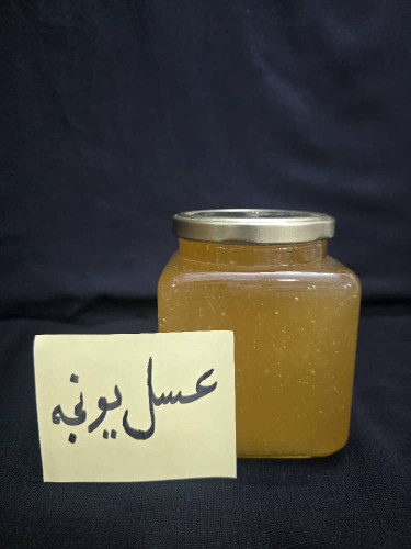 عسل یونجه بدون موم 1 کیلویی